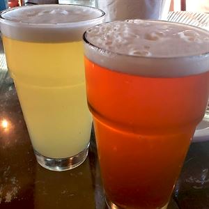 ten craft beers on tap